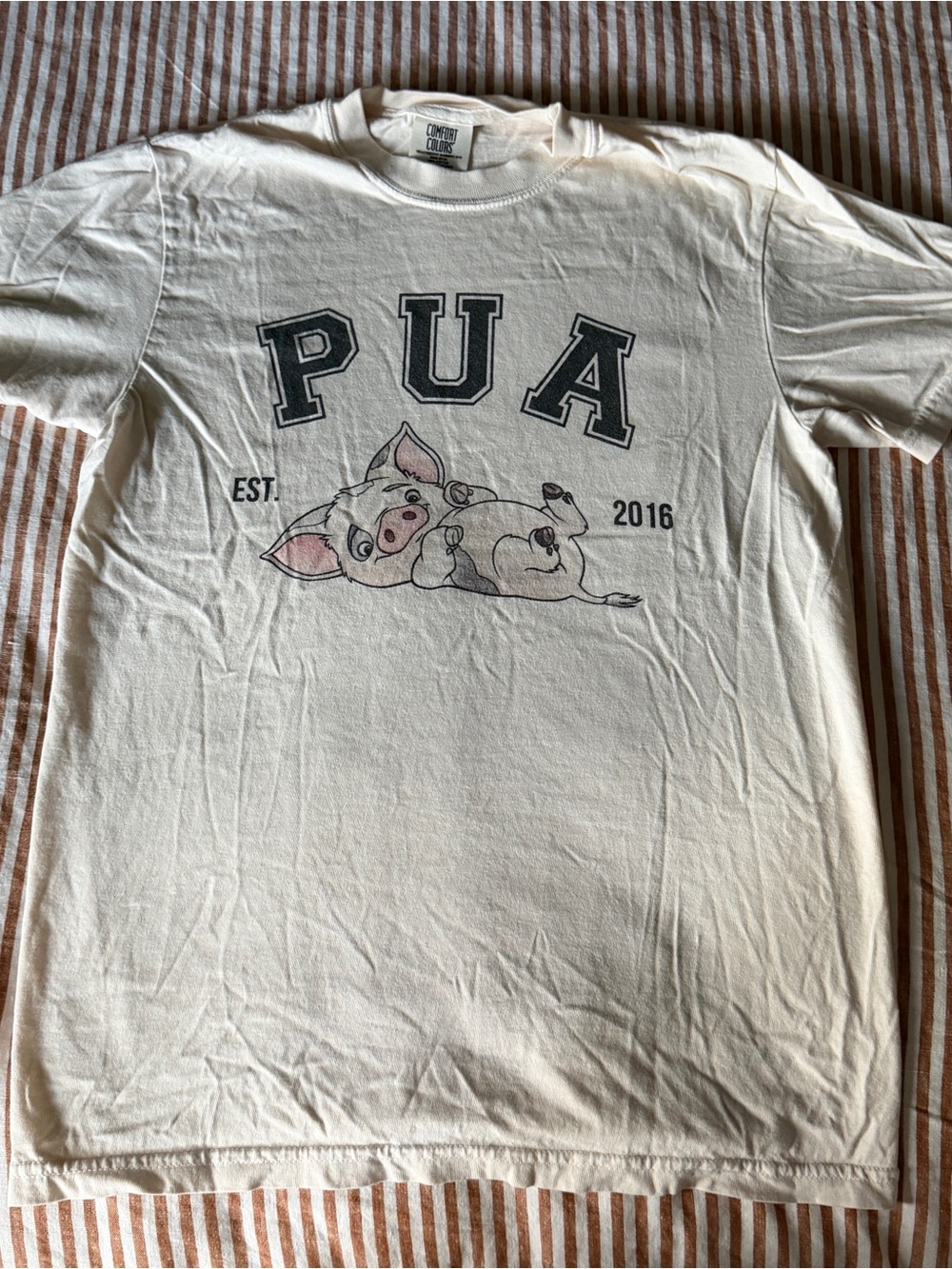 Disney Pua Cream Heavyweight Crewneck Tee
